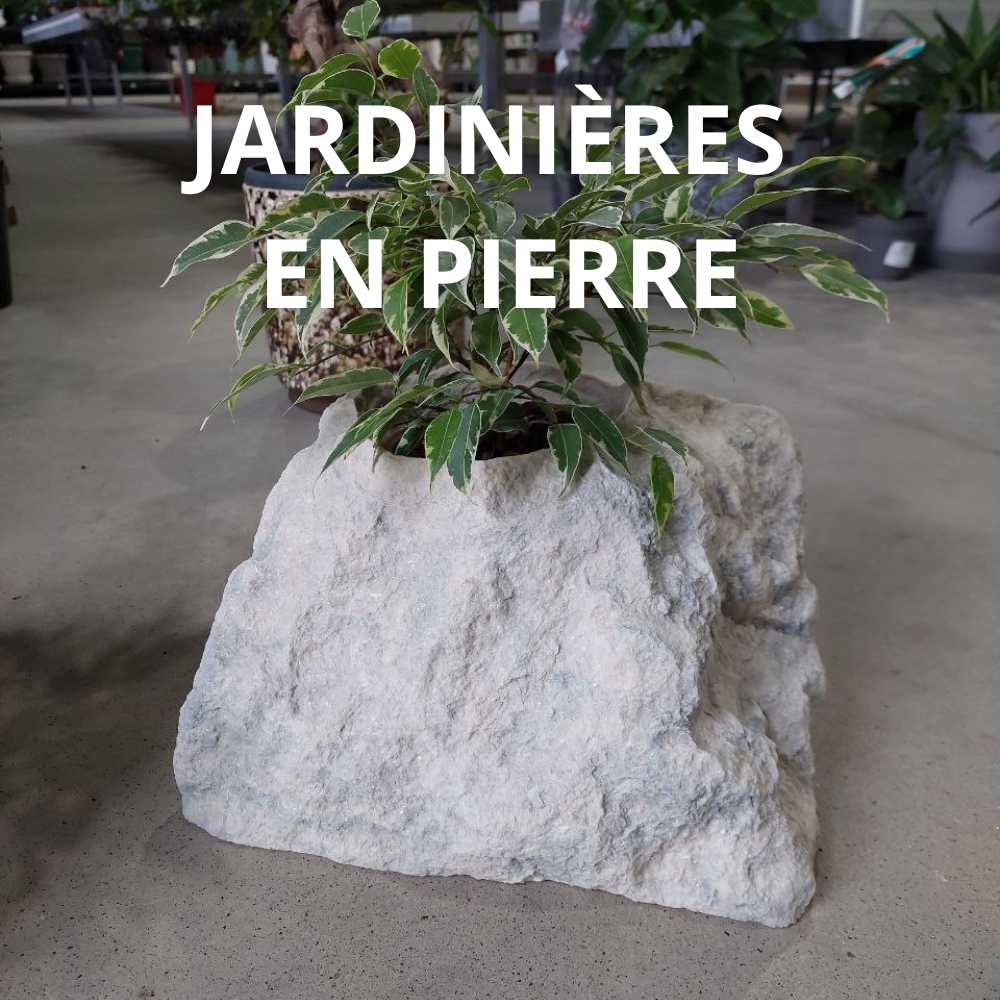 JARDINIERES EN PIERRE.jpg