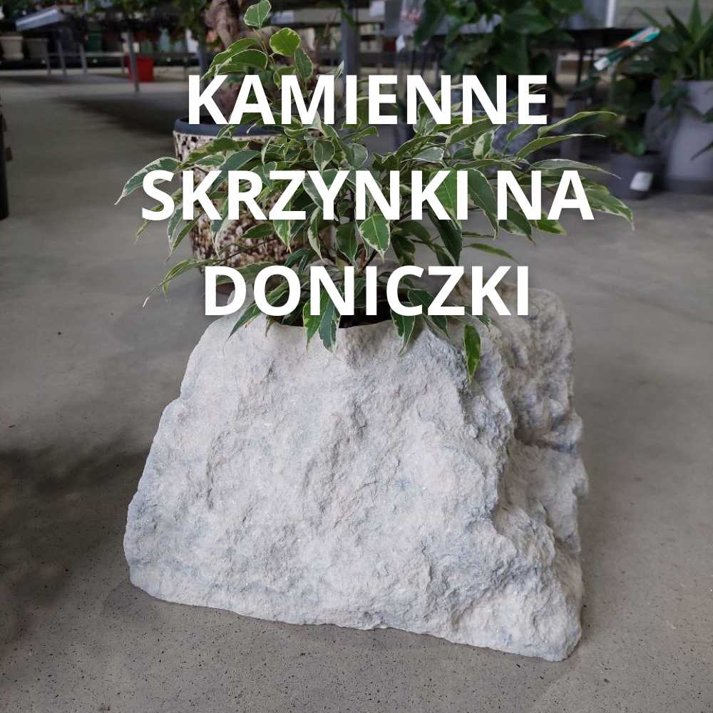 KAMIENNE SKRZYNKI NA DONICZKI.jpg